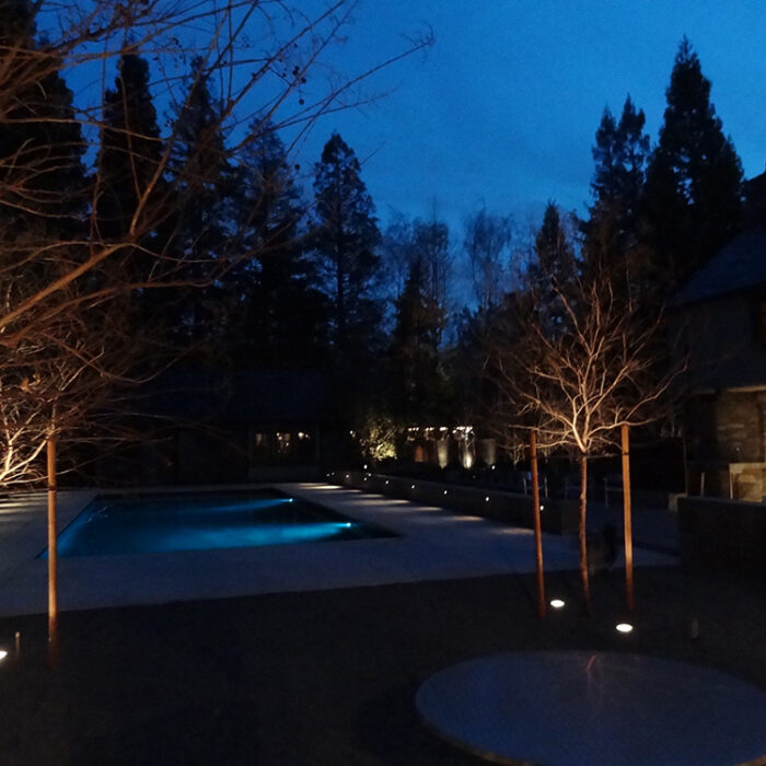 an image of outdoor residential landscape lighting
