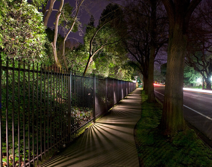 Residential Sidewalk and Tree Lighting